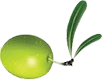 UpSize